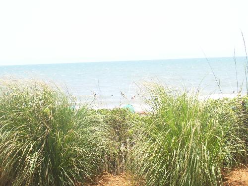 Beach - Myrtle Beach, Sc