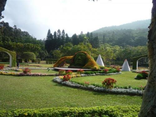 Nature's picture - This was taken in Taiwan. One of the famous destination for nature lovers.