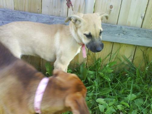 Jersey and Armani - Cutiiies