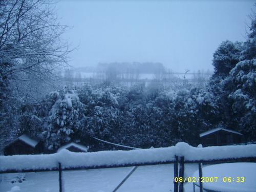 Snow - Outside my house when it snowed