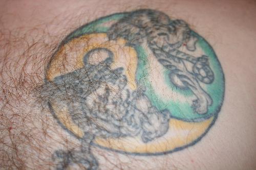 Tattoo on my Chest - This is the Tattoo that graces my chest. It is a tiger and a Dragon circling a Yin Yan. To me it represents the balance between wisdom and power.
