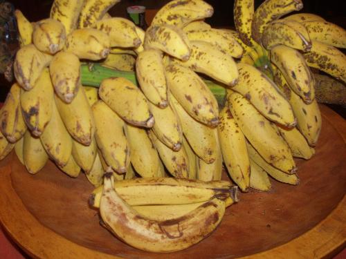 Bananas - This bunch of Bananas lasted my family about a week! Every week we get a bunch like this from the markets! Do you like to eat Bananas?