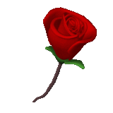 red heart - hi