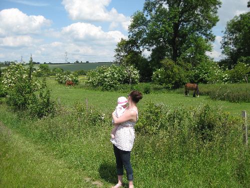 me and my daughter - a picture of me and my daughter to share with you all. It was taken a few weeks ago when we went for a walk to the local park to see some horses, it was the first time my daughter had ever seen a horse.