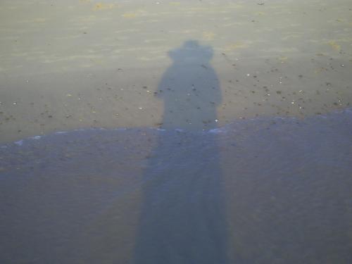 Shadow-MOM - Outer Banks NC 2009