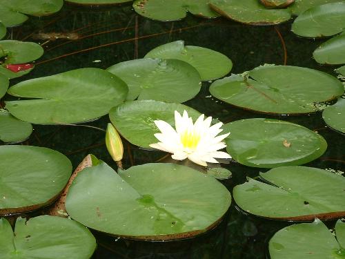 A moment of Peace - I love this picture