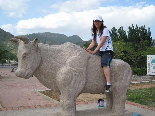 riding on a bull - Actually, I scare bulls or something like that. But this time, I challenge myself finally. A-ha, as you see it's a stone bull!