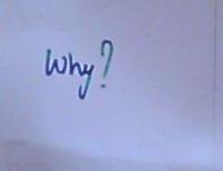 why? - Answer me why