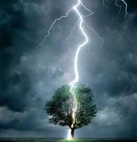 Dream Struck Tree - Tree struck with Lightening from sky.