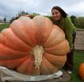 A big pumpkin - A pumpkin is a big fruit of a small plant. It grows in tropical region. Though its upper side is very heard but the inner part is very soft. Its taste is sweet.The curry of pumpkin is delicious. A big pumpkin - A pumpkin is a big fruit of a small plant. It grows in tropical region. Though its upper side is very heard but the inner part is very soft. Its taste is sweet.The curry of pumpkin is delicious.