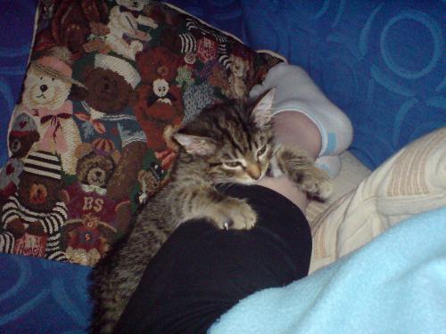 ottis - ottis at a few weeks old