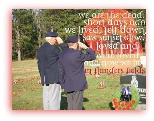 In Flanders Feild - an edit i did