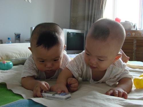 My twins - I am a chinese, Here are my twins. They are 12 month old now. The right one is elder brother and he is very naugthy. The younger one is very queit. They are god's gifts to me, I love them so much!