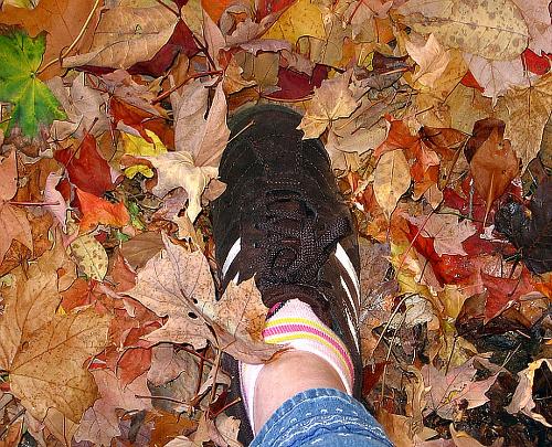 Feet  - A photo of a step in some fall leaves