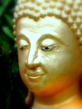 Buddha - Face of the Buddha.