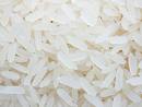 white rice - It is my favorite to eat white rice as our daily meal.