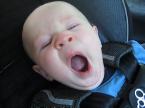 yawn - it&#039;s so nice to see a new born yawning, isn&#039;t it? 