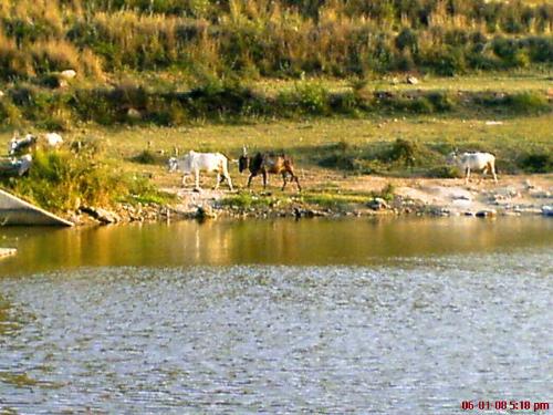 Nature - countryside nearby