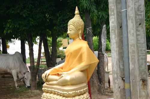Buddha - Image of the Buddha.