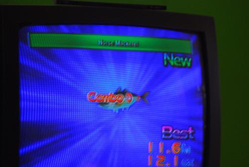 Fishing Master World Tour - fish caught playing fishing video game on the Wii