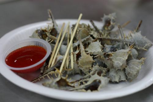 Oysters - One type of sea food that can be found in Asian countries. It's called 'Lala' in Malaysia in local language. It's not recommended to take too much at one time as it contains high colestrol.