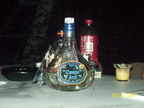 tequila - this is the bottle that made my husband and brother in law blow chunks all overthe yard..ewwww