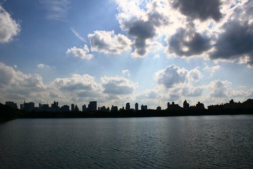 Skyline - Looking South in Central Park.