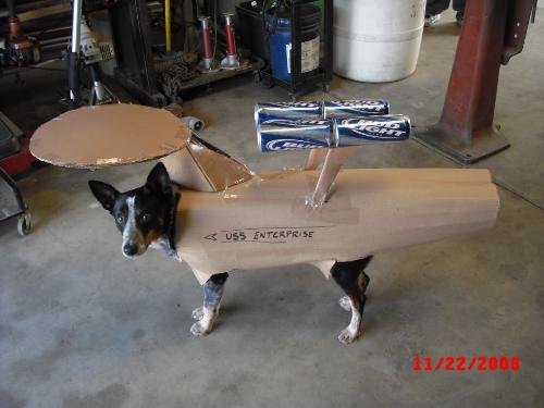 a dog - a dog called 'warp'.