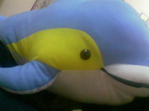 dolphin - this is my dolphin