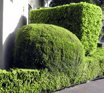 what is this?? - sumthin' hidin' behind somthin' else - or wot??