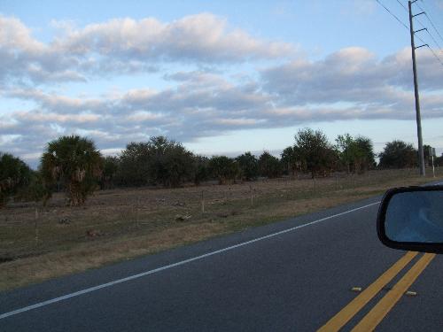 Road - Driving around Florida's roads