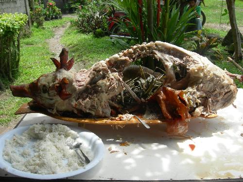 lechon - The Filipino favorite during fiestas or birthdays. The lechon or roasted pig. This one after the party.