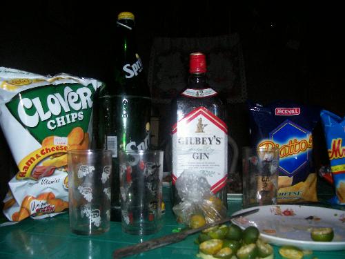 drinks and chips - Gin plus lime juice plus limes plus salt and assorted chips make one combo for being drunk if doing it over and over