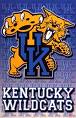u.k. wildcats - U.K. Wildcats Basketball