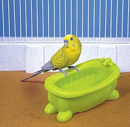 I will bath - That is bad day. I will bath now. But there are no water