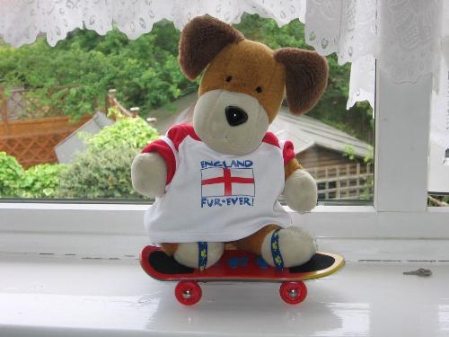England Fur-Ever! - Kipper the dog, a true English patriot,on his skateboard!