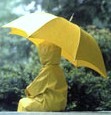 Rain coat & Umbrella - When using an umbrella, the head and shoulders stay dry, but everything else gets wet! Wearing a raincoat offers complete protection from head to toe except the face...  You have a very ideal solution, - use both!