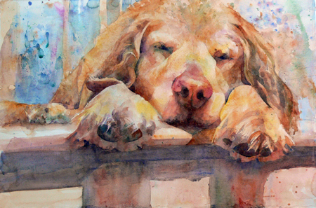 Dog - A nice painting of a beautiful dog.