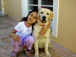Loyal friends - Loyal Friends Loyal friends - Loyal Friends