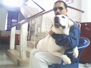 Babu with me - Babu, my Labrador dog is very different from any other breed.I feel very lucky to have such a beautiful dog.