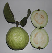 Have you tasted an apple guava or a guapple? - This is how the apple guava or guapple looks like. This fruit is very rich in vitamin A and C as a single guapple contains 4x the amount Vitamin C as a single orange and also have good levels of dietary minerals potassium, magnesium, and generally a broad, low-calorie profile of essential nutrients. If the seeds are eaten too, we get omega-3 and omega-6 polyunsaturated fatty acids as well as high levels of dietary fibers. It is taste good as a big guava of course and crunchy as an apple. Want to try some? Go to your grocery store perhaps they might be selling some.