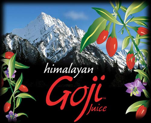 Goji Berry Juice - Himalayan goji berries and Chinese goji berries are equally effective when it comes to health but there is a difference in taste. The Chinese berries are smaller and a little bitter tasting. The Himalayan berries are larger, plumper and sweeter tasting.  Either way, this marvelous little fruit with its health and anti-aging benefits, along with exercise, more of a vegetarian diet including fresh herbs, lots of water and fresh air, might very well be your fountain of youth!