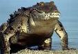 Trespassers Will Be Eaten - How about a friendly crocodile to keep unwanted guests away Trespassers Will Be Eaten - How about a friendly crocodile to keep unwanted guests away