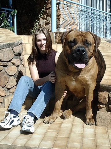 Huge dog - A huge dog, with a friend of mine :o