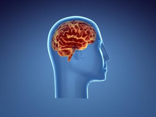 health is you brain - brain is terminal for your body. If your brain not health, that means you are not health