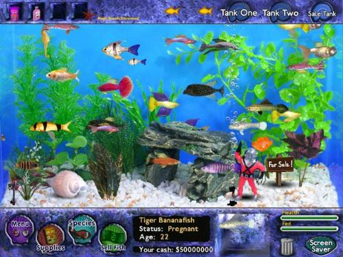 aquarium scape - Do you have fish in aquarium?