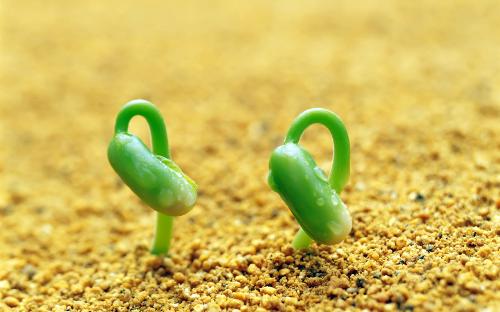 growing - watch the details ...