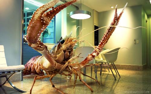 creativity - uh...don't you want it placed in your own house