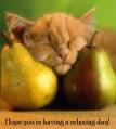 Having a Relaxing Day - Have A Relaxing Day