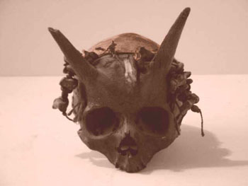Horned human skull - This skull was found along with the rest of the body. It seems to bolong to a human that was 6 feet tall. Nothing special in sceletal structure or skull structure, looks exactly like all other humans, but has horns.